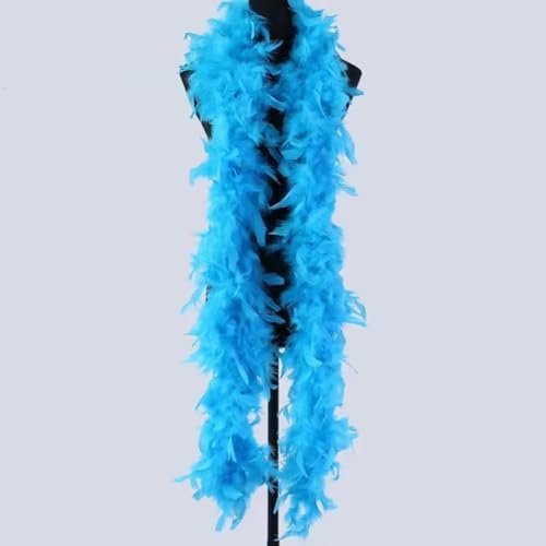 Stylish 2-Piece Flapper Feather Boa Accessories