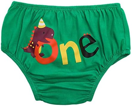 Dinosaur 1st Birthday Party Dino Themed Outfit
