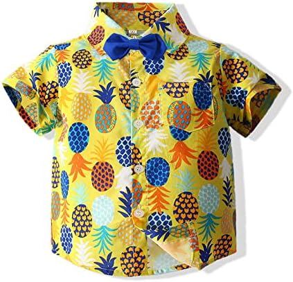 Baby Boy Short Sleeve Pineapple Shirt Set