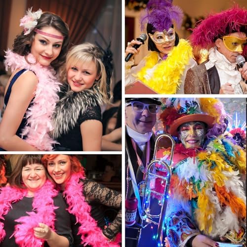 Chandelle 30g Turkey Feather Boas 2pc for Events