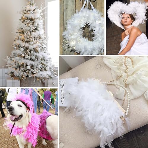 Chandelle 30g Turkey Feather Boas 2pc for Events