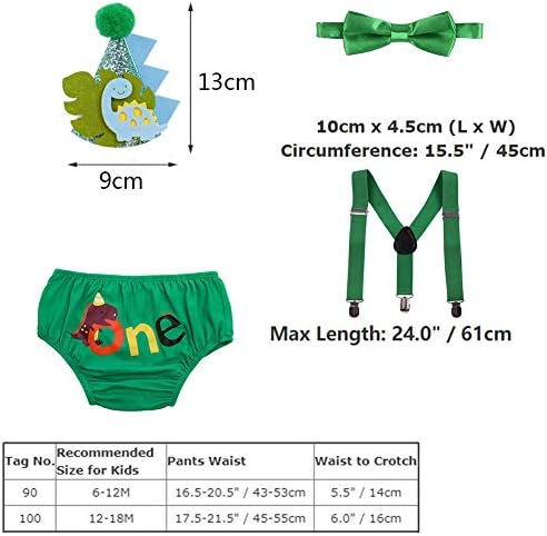 Dinosaur 1st Birthday Party Dino Themed Outfit
