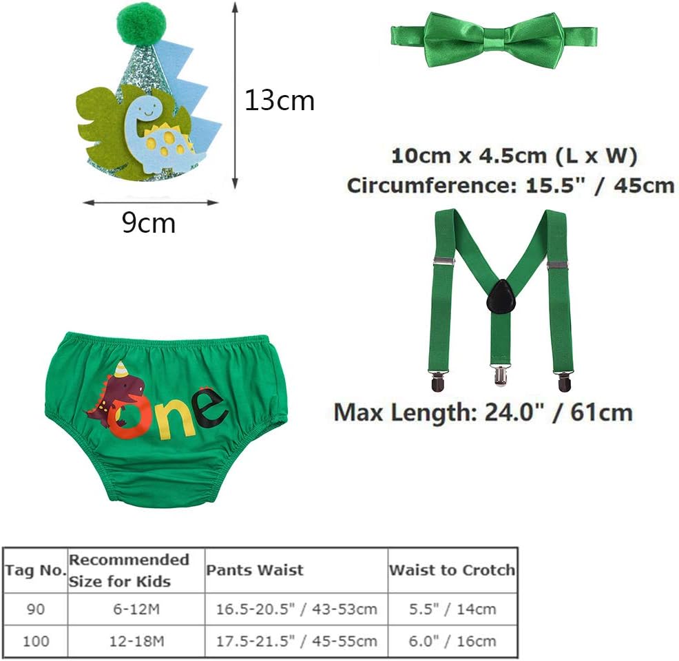 Dinosaur 1st Birthday Party Dino Themed Outfit