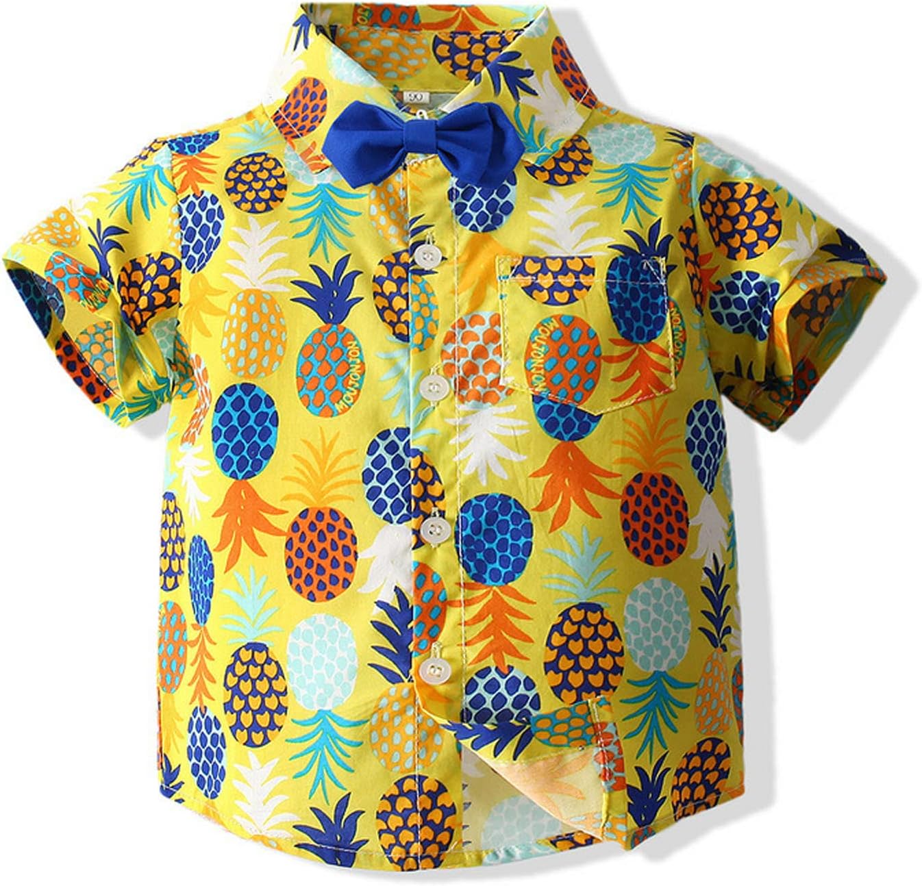 Baby Boy Short Sleeve Pineapple Shirt Set