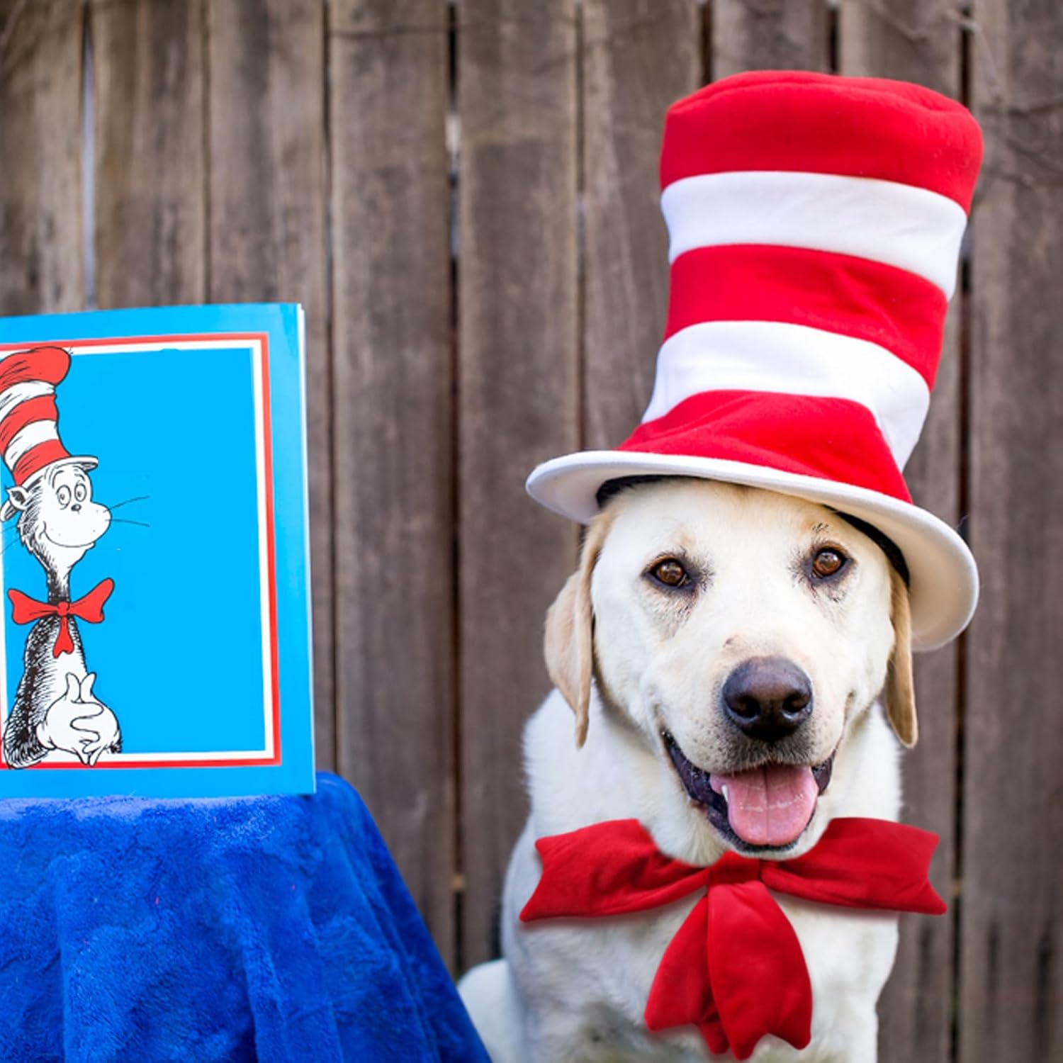 Sharp Red White Striped Lowest-Cost
