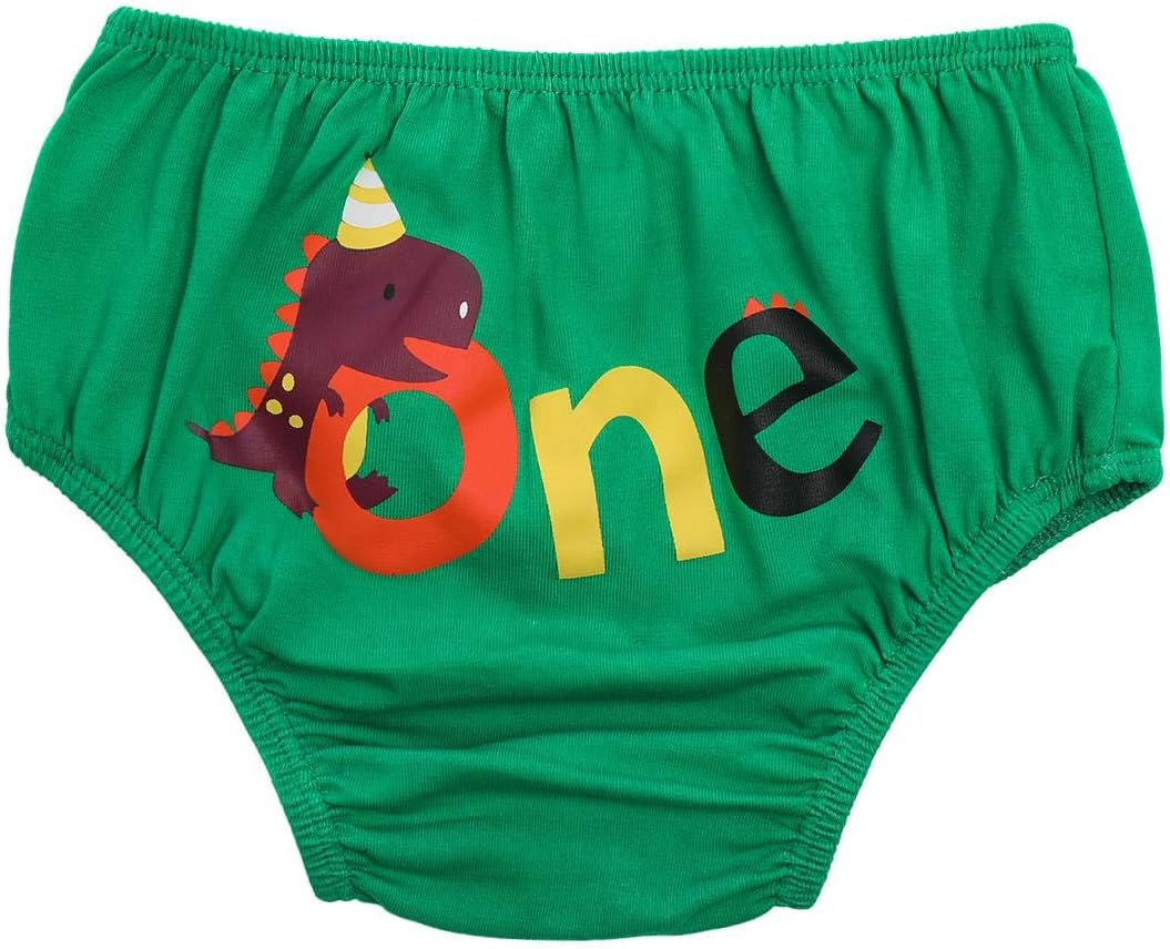Dinosaur 1st Birthday Party Dino Themed Outfit