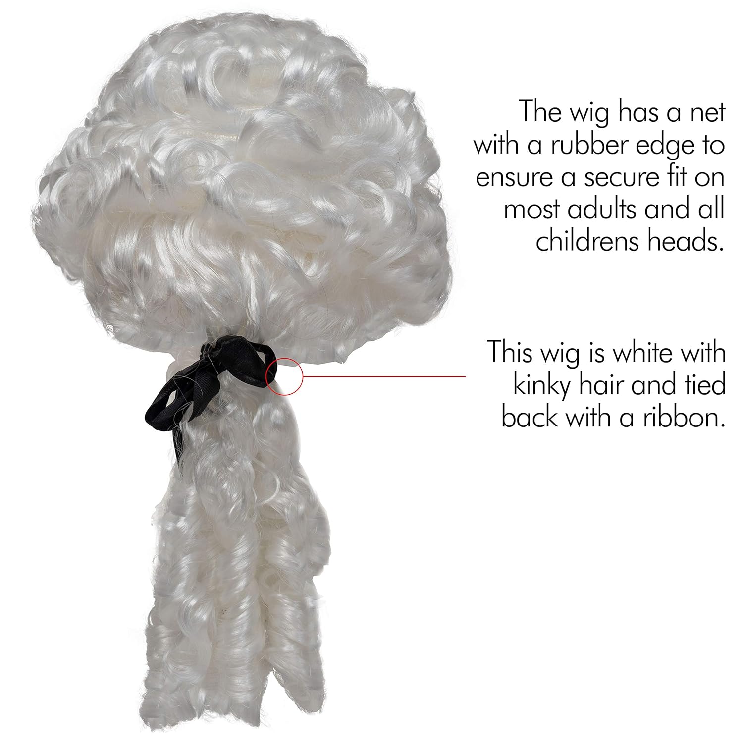 George Washington Historical Wig Costume Accessory